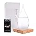 KYMAKE Storm Glass Weather Predictor - Creative Crystal Glass Bottle Desktop Drops Craft Weather Station with Pure Wood Base - High-Class Decoration on Home & Office (Large)