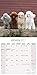 Miniature Poodle Calendar 2017 - Toy Poodle Calendars - Dog Breed Calendars - 2016 - 2017 wall calendars - 16 Month by Avonside