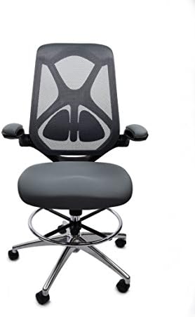 Frasch High Back Ergonomic Mesh Office Chair by Adjustable Lumbar Support, Memory Foam Molded Seat, Foot Ring, Chrome Base and Flip-up Arms