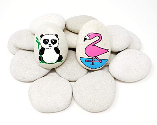Capcouriers Rocks For Painting 20 Painting Rocks For Rock Painting About 2 - 2.25 inches