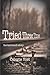 Tried Three Times: The Karmendi Story - Celeste Yost