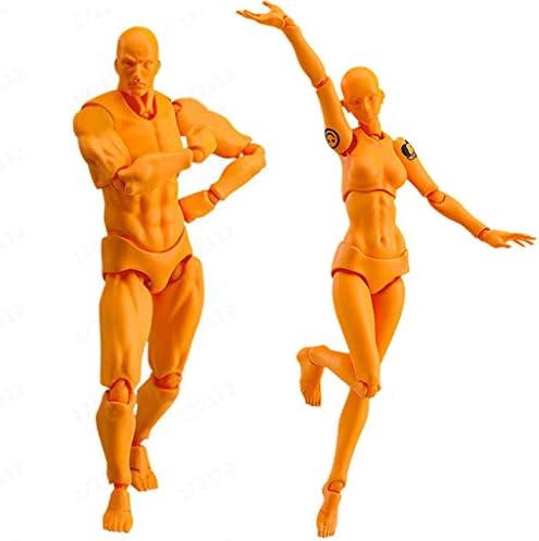 Height Realistic Female Mannequin Display Head Turns Dress Form w/Base, Detachable Plastic Slapped Adjustable Dressmaker Dummy Standing Adult Plastic Mannequin Women and Men Set (B, Multicolor)