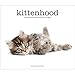 Kittenhood: Life-size Portraits of Kittens in Their First 12 Weeks