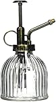 MyGift Vintage Style Clear Glass Water Spray Bottle / Decorative Plant Mister with Top Pump