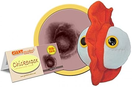 giant microbes amazon