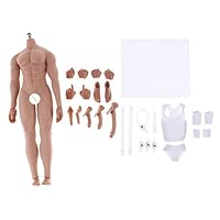 Fenteer 1/6 Scale Super Flexible Muscular Male Body Figure Assembly - Steel Skeleton - Wheat Skin