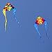 emma kites 60in Rainbow Cube Delta Kite - Flowing Blue Tails - Easy to Assemble, Fly for Kids, Beginners Great for Family Outdoor Games and Activities