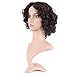 Curly Synthetic Wig Brown Short Hair 20 Styles Fluffy Heat Resistant Wig for Women Girls Lady,10'' / 10 inch #2 Dark brown