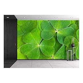 a Texture of Shamrock, Macro - Removable Wall Mural | Self-Adhesive Large Wallpaper - 66x96 inches