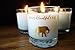 Lavender and Vanilla Organic Aromatherapy Candle with Pure Essential Oils for Stress Relief and Sleep - Dream Elephant Luxury Candle by Wild Beautiful Free