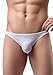 ADORNEVE Men 4 Pack Briefs Breathable Ice Silk Triangle Bikini Underwear