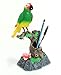 Tech Tools Talking Parrot