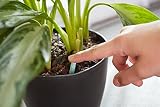 Miracle-Gro Indoor Plant Food 48-Spikes 2.2 oz Home-APP view 5