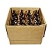 (12 Pack) 2 oz. Amber Boston Round with Black Glass Dropper
