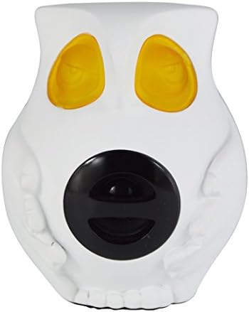 HOMESHINE Portable Wireless Bluetooth Speaker Owl for Home Decor