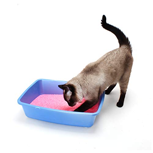 NEON Clumping Silica Gel Cat Litter, 4 lb, Pink Pricepulse