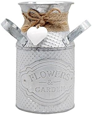 Flower pots Simple round flower pots Living room personalized flower dining bar Women's clothing shop Garden style ornaments Iron crafts