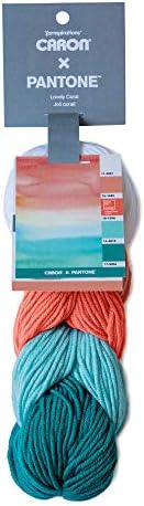 Caron x Pantone Acrylic & Merino Wool Blend Yarn •• 5 Coordinated Colors in 1 Braid (Lovely Coral 291101-01036)