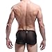 FEESHOW Men's Soft Sheer Mesh Boxer Briefs Shorts Underwear Swim Trunks Black Large(Waistline 27.5-44.0