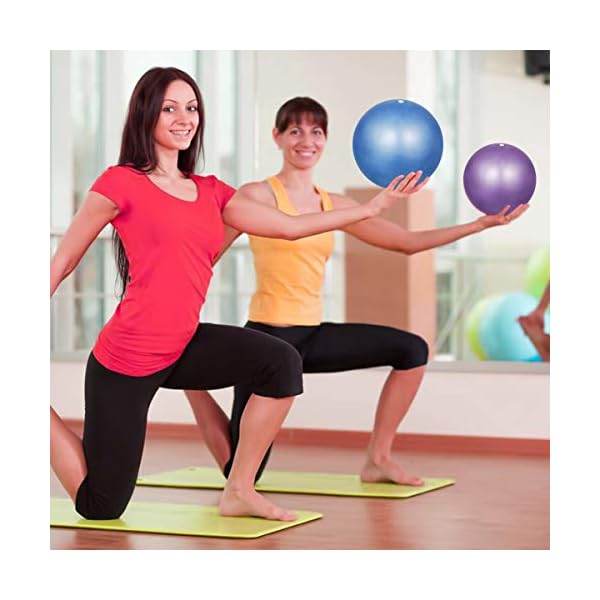 Dokpav 2pcs Pilate Balls 9 inch / 23 cm Small Fitness Yoga Ball Exercise Balance Ball for Pilates,Yoga, Core Training…