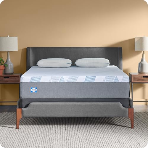 Sealy Dreamlife 12-Inch Foam Mattress