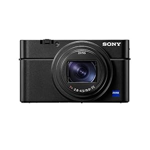 Sony RX100 VI 20.1 MP Premium Compact Digital Camera w/ 1-inch Sensor, 24-200mm ZEISS Zoom Lens pop-up OLED EVF (DSCRX100M6/B)