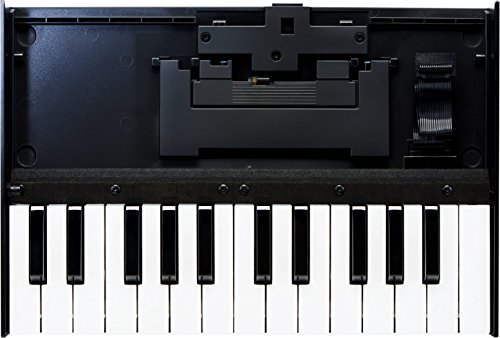Roland K-25m Keyboard Dock for Boutique Sound Modules BUNDLED WITH CB-BRB1 Carrying Bag for Roland Boutique Instruments Blucoil 5-Ft MIDI Cable AND 5-Pack of Cable Ties