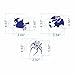ART Kitchenware 2.76Inch 6pcs Halloween Skull,Spider,Ghost House,Witch Cookie Stencil Set Cake Decorating Supplies Cupcake Top Decoration Mold Semi-Transparent ST-913S