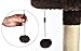 Amazon Basics Cat Tree with Base Condo - 24 x 19 x 50 Inches, Small, Dark Brown