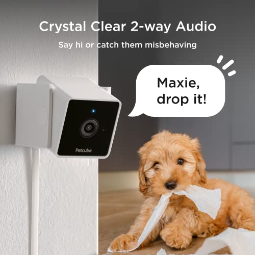 Petcube Cam Indoor WiFi Pet and Security Camera with Phone App, Pet