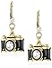 Betsey Johnson Camera Drop Earrings