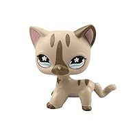 Sonmer Animal Pet Cat Collection Child Girl Boy Figure Toy