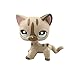 LPS Toy Pet Short Hair Cat Animal Child Girl Boy Figure Loose Cute Standing Cat Mask Short Hair Choose Your cat for Kids Gift 1pc (Gray)