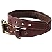 Logical Leather Padded Dog Collar - Best Full Grain Heavy Duty Genuine Leather Collar - Brown - Large