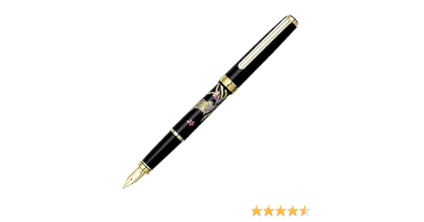 Platinum Maki E Fountain Pen Phoenix Amazon Ca Office Products