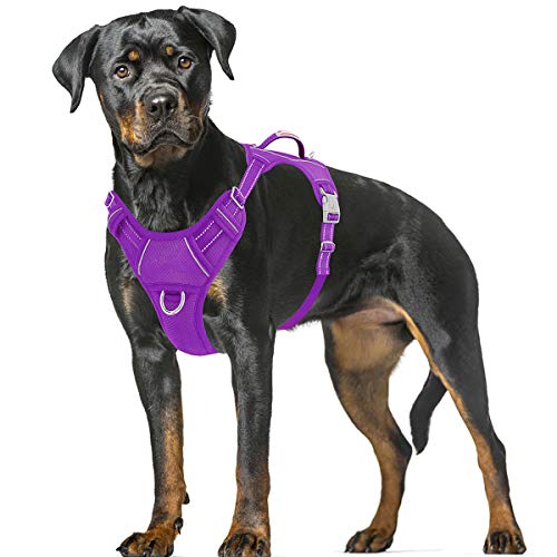 Producto: BARKBAY Dog Harness No Pull Dog