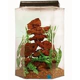 SeaClear 20 gal Deluxe Hexagon Acrylic Aquarium Combo Set, 15 by 15 by 24", Clear