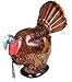 NXT Generation 3D Inflatable Gobbler Turkey Target - Archery Target Practice - Life Size Inflatable Turkey - Suitable for Indoor and Outdoor Play - for Hook and Loop Tipped Foam Darts