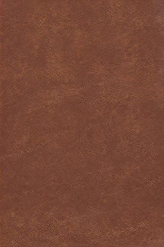 Galaxy Heavyweight Vinyl Tablecloth, 52-Inch by 52-Inch Square, Rust