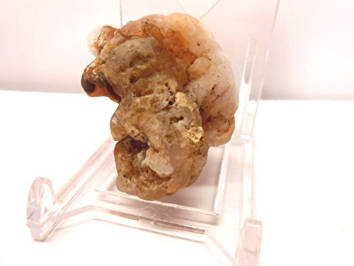 Rock Tumbler Gem Refill Kit New Mexico White Chalcedony Rough 8 oz