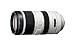 Sony SAL-70400G2 70-400mm F4-5.6 G SSM Super Telephoto Zoom Lens