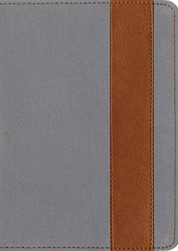The Message//REMIX (Leather-Look, Grey/Tan): The Bible in Contemporary Language