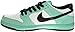 NIKE Men's Dunk Low Pro IW Skate Shoe