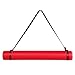 Transon Poster Documents Storage Tube 24