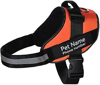 custom dog harness with name