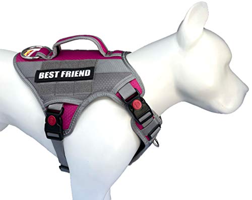 best service dog vests 2018