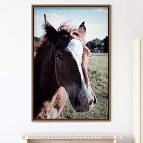 signwin Framed Canvas Wall Art Horse Animals Dramatic...