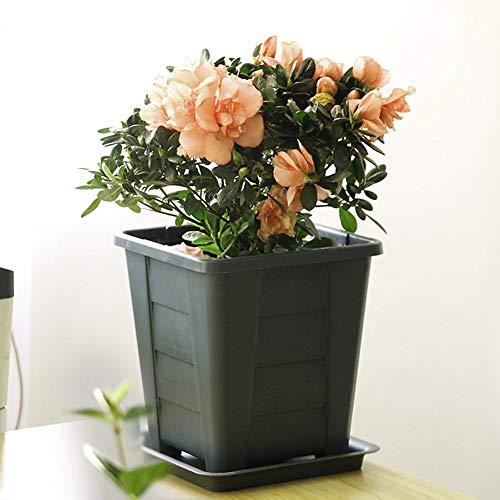 Jjoer Blumentopf Mit Untersetzer Quadratische Kunststoff PflanztöPfe BlumentöPfe Plastik Sicher Und Ungiftig Blumentopf… – Bild 6