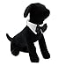 Formal Black Dog Bow Tie (Medium: Neck 13-16