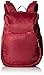 Pacsafe Citysafe CS300 Anti-Theft Compact Backpack, Cranberry